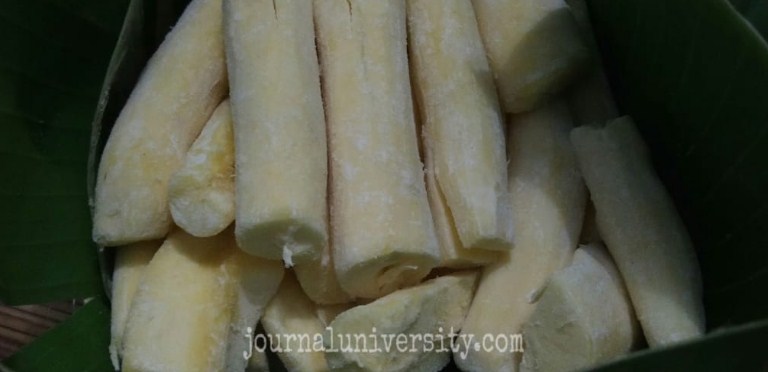 Tape Bondowoso: Resep dan 4 Manfaat Yang Belum Orang Tahu