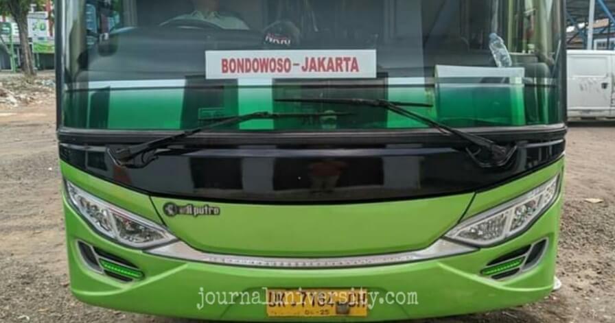 Jadwal Bus Terminal Bondowoso Terbaru Antar Kota Dan Provinsi Tahun 2020 (Tarif Ekonomi dan Patas) 2 Bus Bondowoso Jakarta